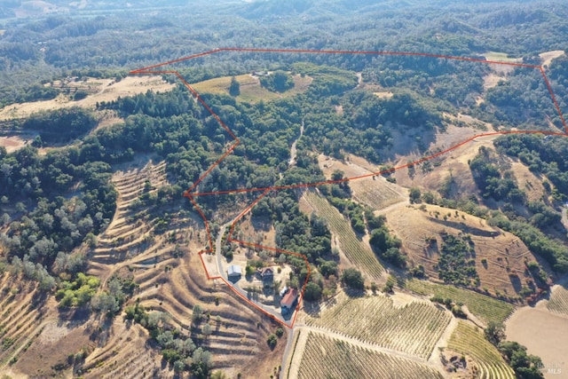 aerial view with a rural view