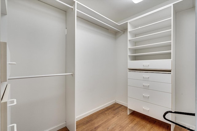 walk in closet with hardwood / wood-style flooring