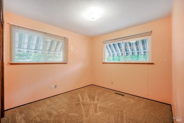 empty room featuring a textured ceiling and carpet floors