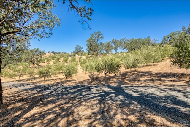 1280 W State Highway 20th St, Upper Lake, CA 95485 - exterior space