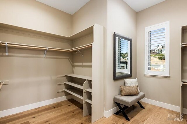 walk in closet with light wood-type flooring