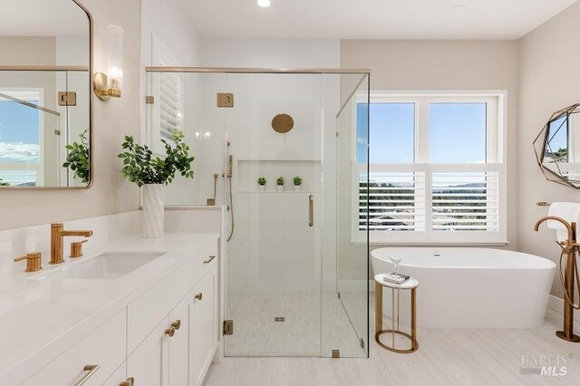 bathroom featuring separate shower and tub and vanity