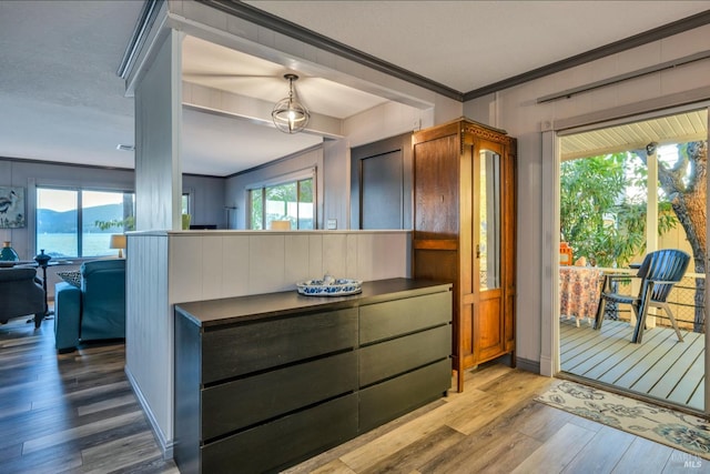 kitchen featuring light wood-type flooring and a healthy amount of sunlight