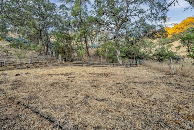 view of yard with a rural view