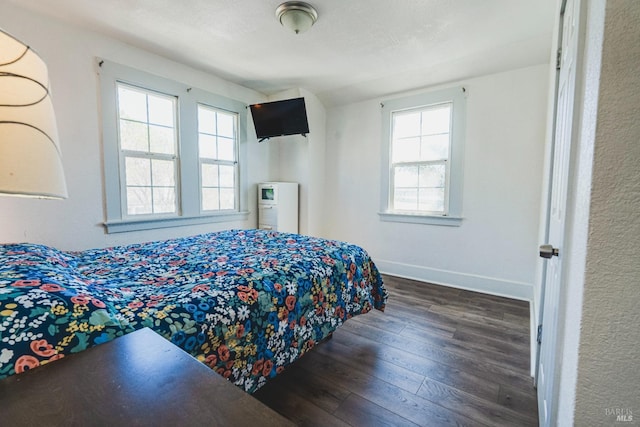 bedroom featuring dark hardwood / wood-style floors and multiple windows