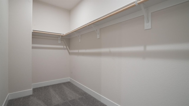 spacious closet with dark carpet