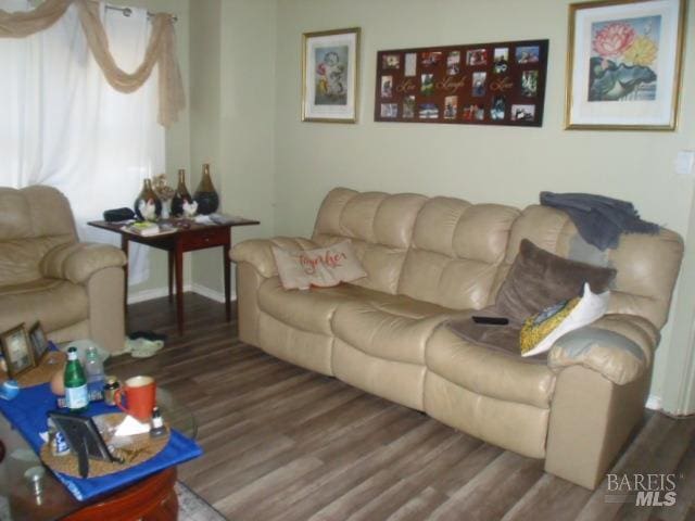 living room with wood-type flooring