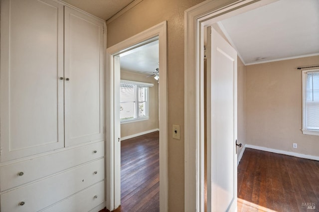 hall with dark hardwood / wood-style flooring and crown molding