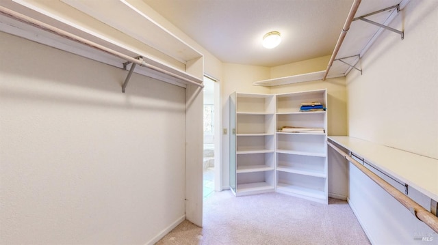 walk in closet featuring light colored carpet