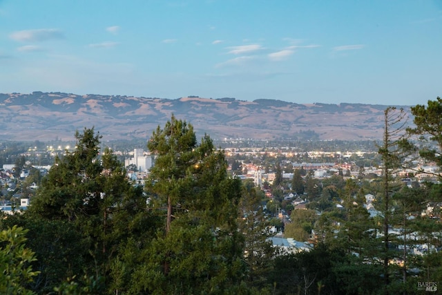 view of mountain feature