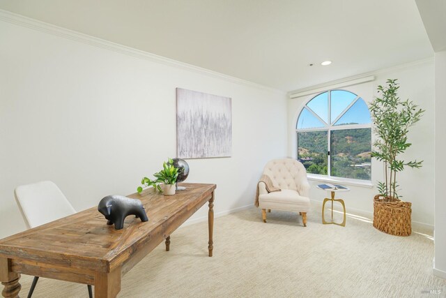 carpeted office with ornamental molding