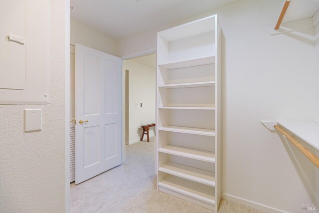 walk in closet featuring light colored carpet and electric panel