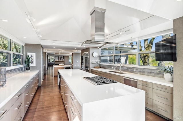 kitchen featuring dark hardwood / wood-style floors, appliances with stainless steel finishes, sink, and a large island