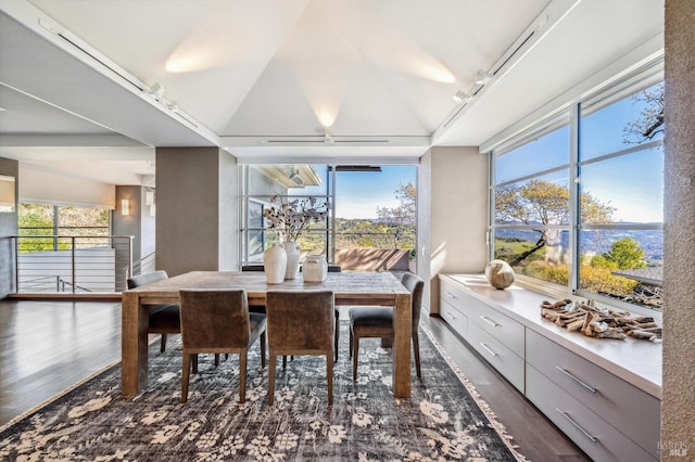 dining room with vaulted ceiling, rail lighting, and dark hardwood / wood-style floors