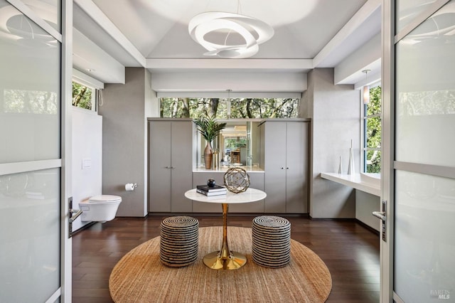 interior space featuring lofted ceiling, plenty of natural light, and hardwood / wood-style floors