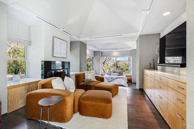 living room featuring lofted ceiling and dark hardwood / wood-style flooring