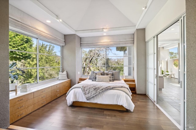 bedroom with lofted ceiling, multiple windows, dark hardwood / wood-style floors, and a closet