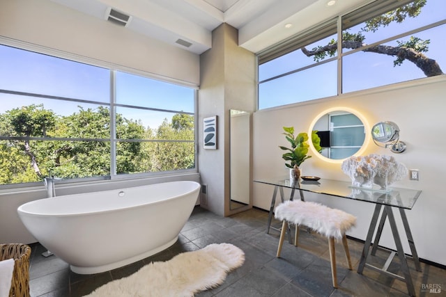 bathroom featuring a washtub and a healthy amount of sunlight