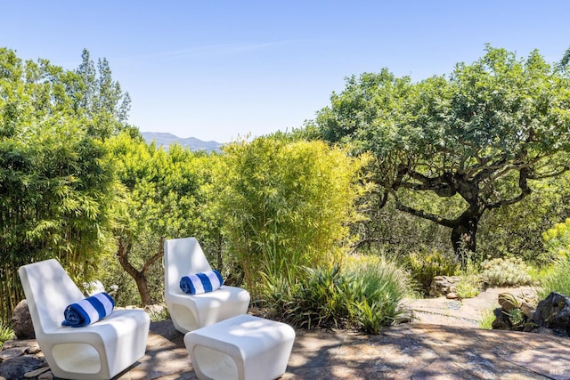 view of patio / terrace featuring a mountain view