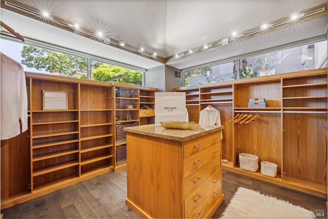 spacious closet featuring dark wood-type flooring