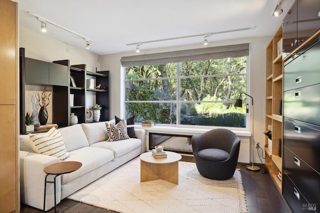 living room featuring track lighting, dark hardwood / wood-style floors, and a healthy amount of sunlight