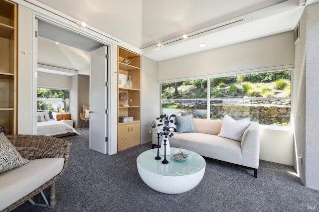 carpeted living room featuring a wealth of natural light and lofted ceiling