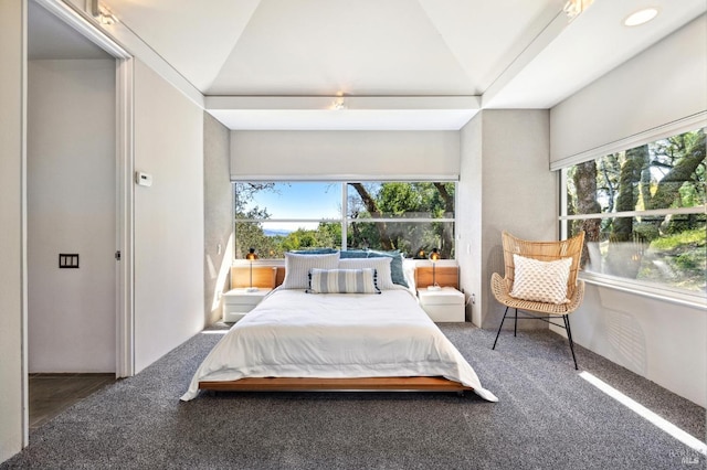 carpeted bedroom featuring lofted ceiling and multiple windows