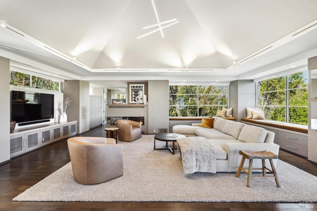 living room with lofted ceiling, a healthy amount of sunlight, a tray ceiling, and dark hardwood / wood-style flooring