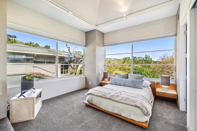 bedroom with dark colored carpet