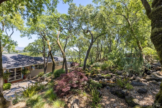 view of yard featuring a patio