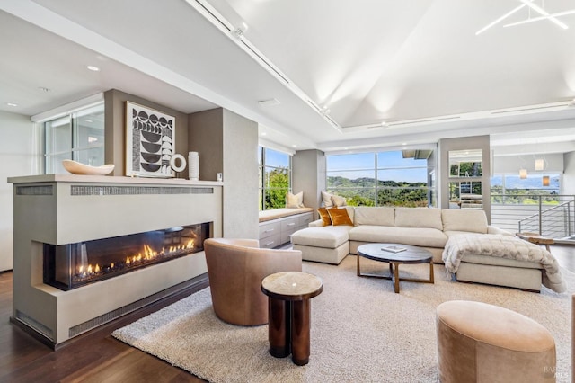 living room featuring a multi sided fireplace, a wealth of natural light, and hardwood / wood-style floors