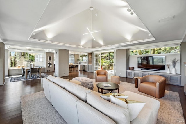 living room with dark wood-type flooring and a raised ceiling