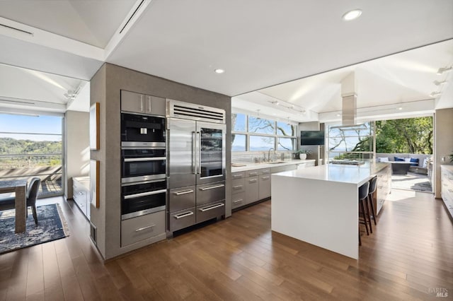 kitchen with a center island, stainless steel appliances, gray cabinetry, and dark hardwood / wood-style floors