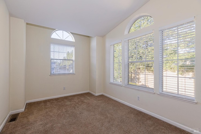 carpeted spare room with a healthy amount of sunlight and lofted ceiling