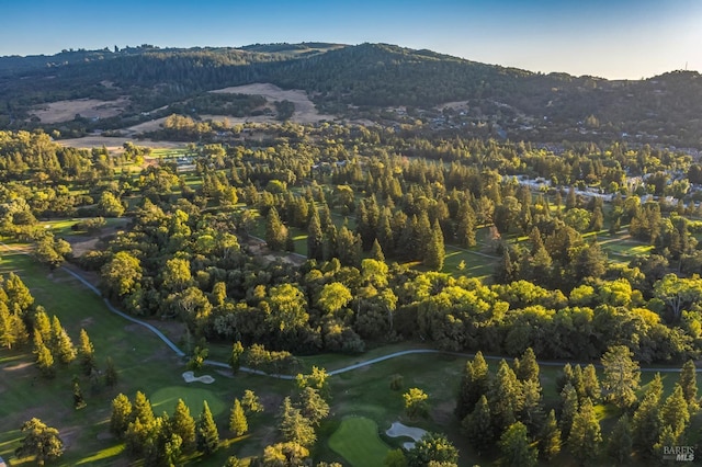 aerial view featuring a mountain view