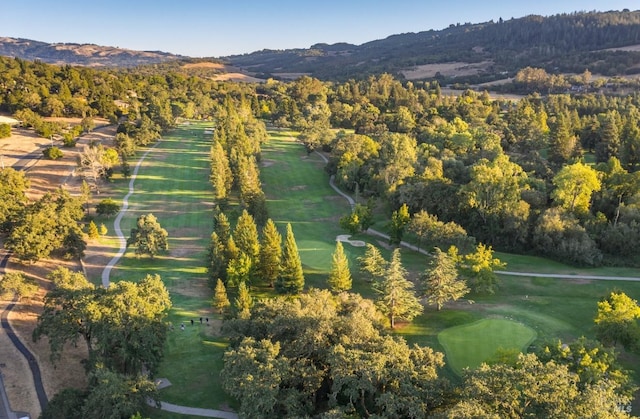 birds eye view of property with a mountain view