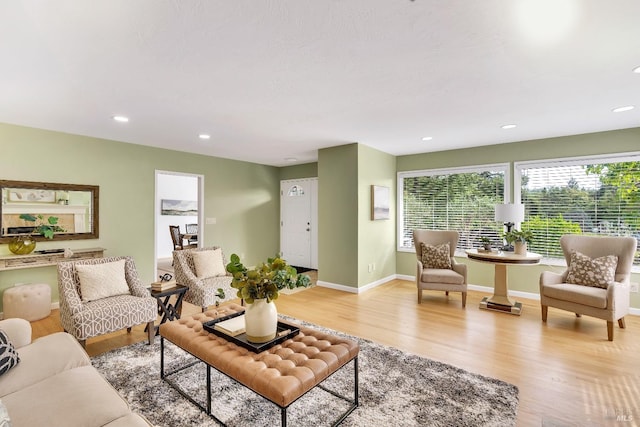 living room with light wood-type flooring