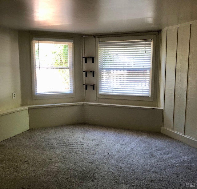 spare room featuring carpet floors