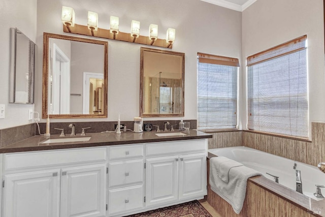 bathroom featuring crown molding, vanity, and a bathing tub