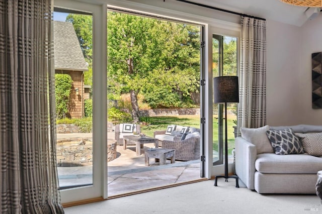 114 Van Tassel Ct, San Anselmo, CA 94960 - entryway featuring carpet floors and plenty of natural light