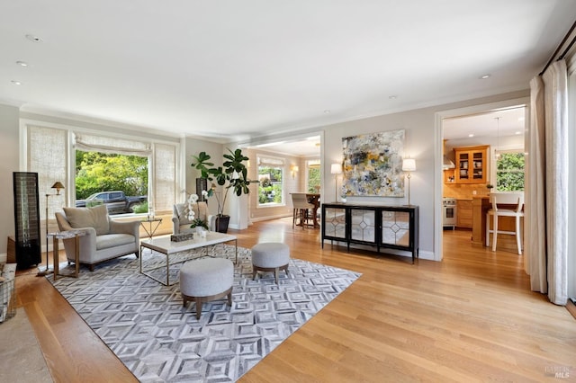 living room featuring ornamental molding and light hardwood / wood-style floors