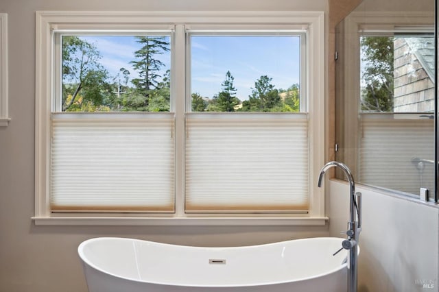 bathroom featuring a bath and plenty of natural light