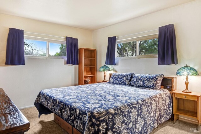 bedroom featuring light colored carpet and multiple windows