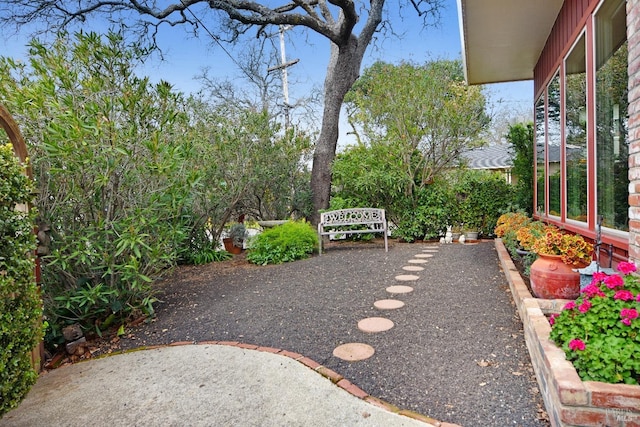 view of yard featuring a patio