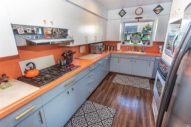 kitchen featuring white cabinets, sink, ventilation hood, appliances with stainless steel finishes, and dark hardwood / wood-style floors