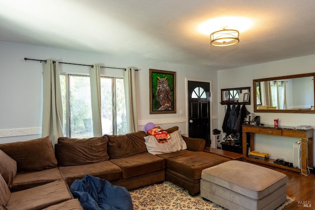 living room with hardwood / wood-style flooring