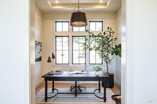 office area with a raised ceiling and wood-type flooring