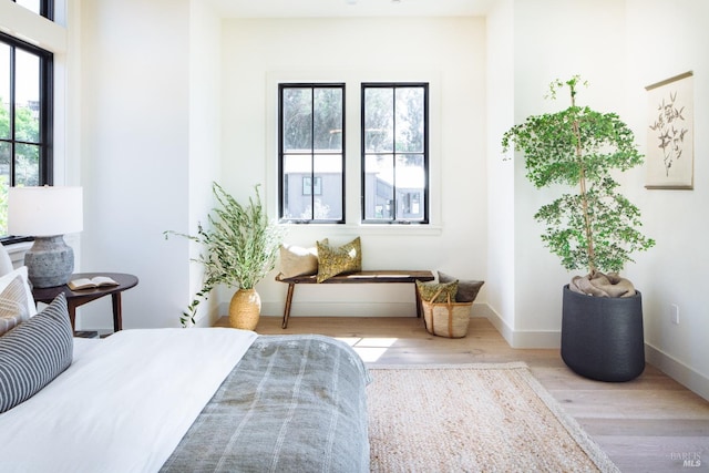 bedroom with light hardwood / wood-style flooring