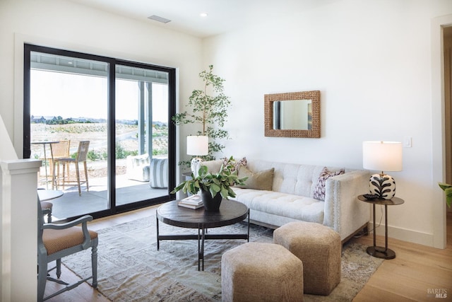 living room featuring light hardwood / wood-style floors