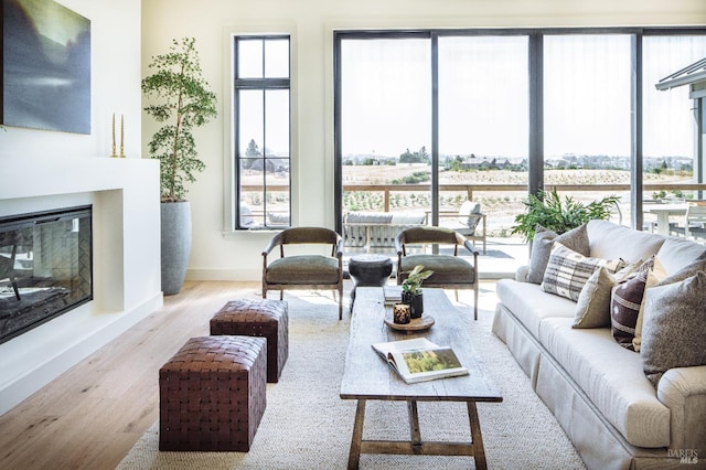 living room with light hardwood / wood-style floors